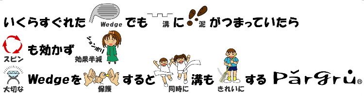 �����炷���ꂽWedge�ł��A�a�ɓD���܂��Ă�����A�X�s�������������ʔ����B��؂�Wedge��ی삷��Ɠ����ɍa�����ꂢ�ɂ���ParGru(R)
